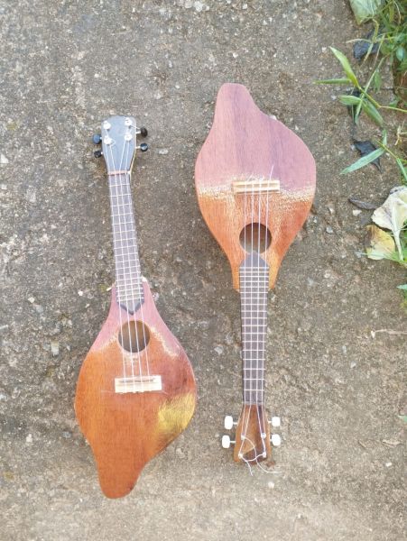 Ukulele de cabaça ou formas